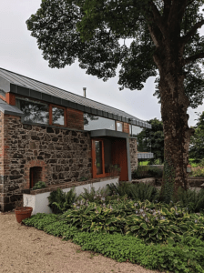No two months are the same at the Copper Barn - as one plant fades back, another steps forward. Like these gorgeous purple flowered hostas which surround the patio by the front door